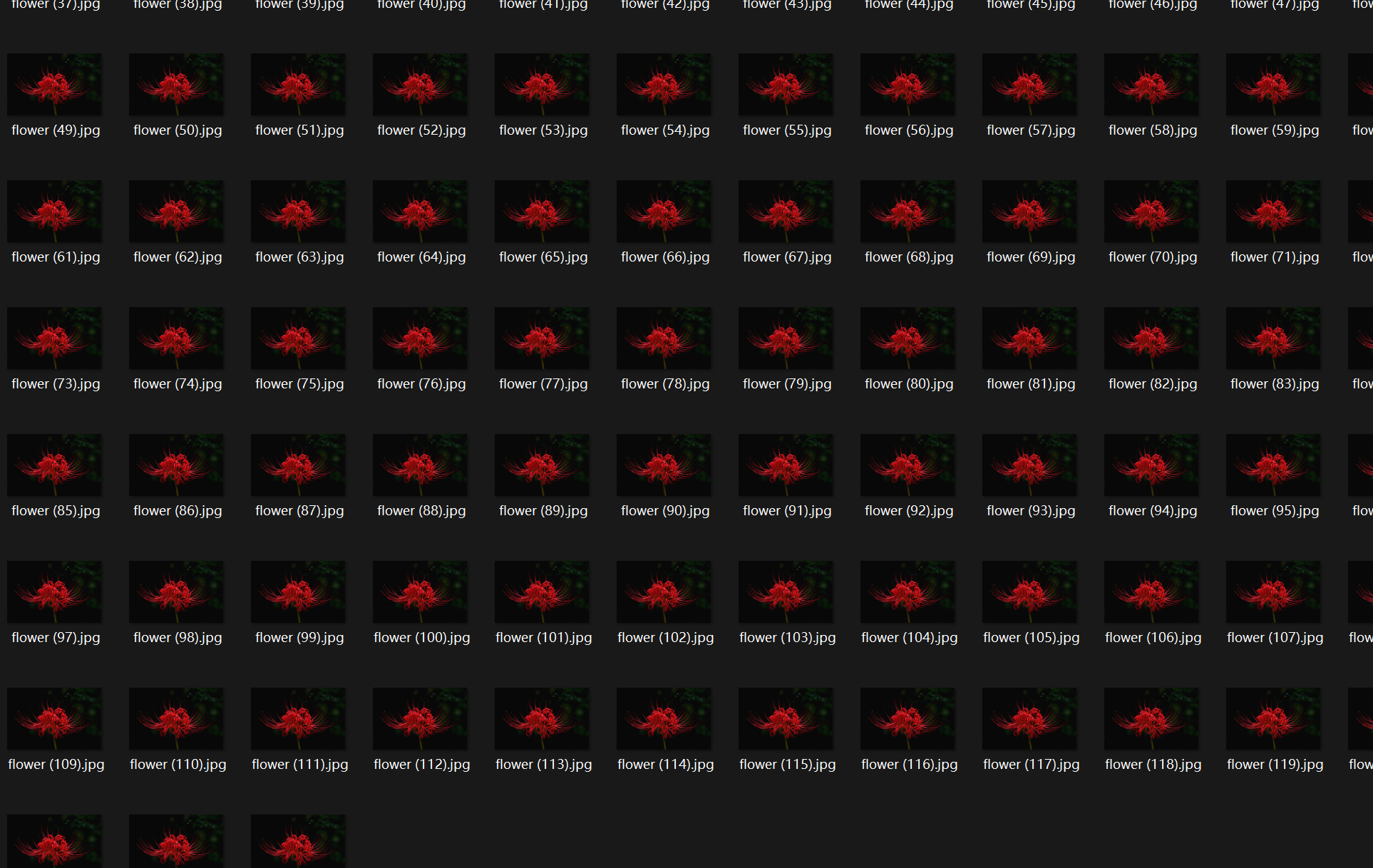 image-20251208024325200